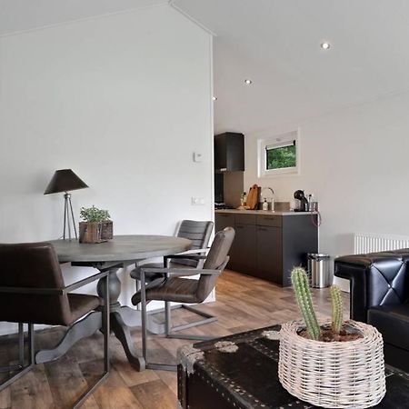 Luxe Chalet In Oosterwolde In Friesland, Op Rustig Park Met Uitzicht Op Meer En Strandje Εξωτερικό φωτογραφία